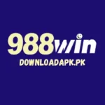 988win