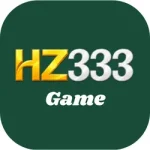 HZ333 game
